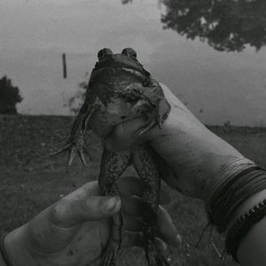 Meet your Posher, Westin